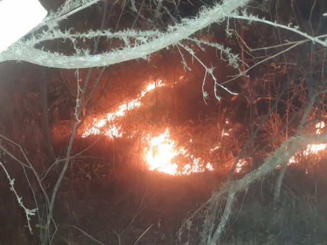 Incendios en Monteagudo no dan tregua y rebasan la capacidad de las autoridades
