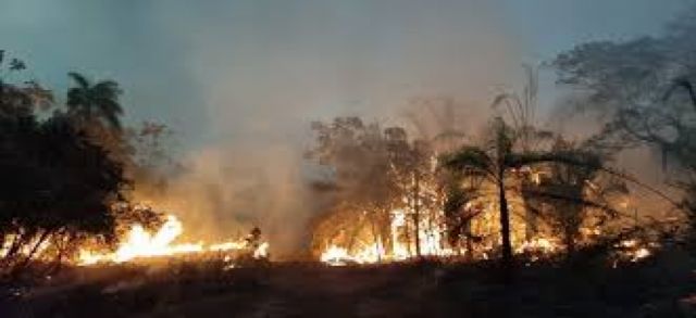 La ABT presenta 13 denuncias penales contra personas que provocaron incendios forestales