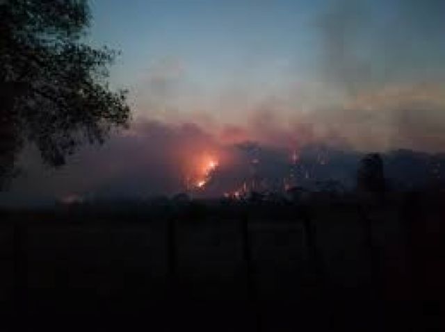 Ministro de Defensa: No hay víctimas fatales humanas en el incendio de Postrervalle