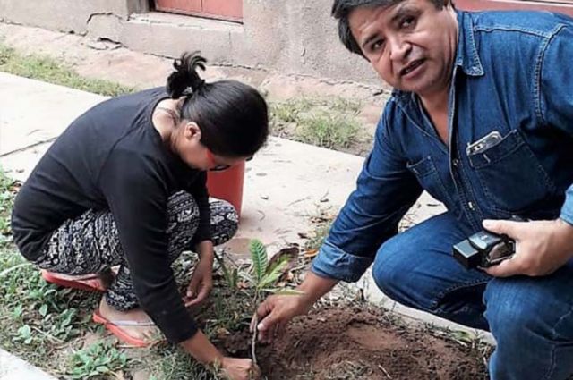 En el Día del Árbol Emapyc plantará el arbolito número 1.000 