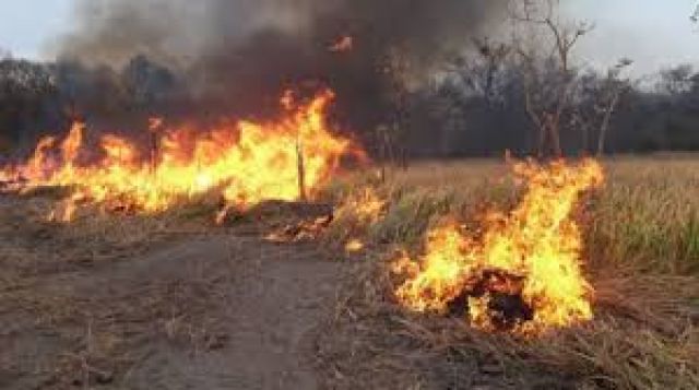 Defensa Civil pide asumir con seriedad y compromiso la lucha contra los incendios en el Chaco