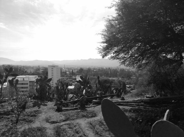 Banda Guadalquivir
