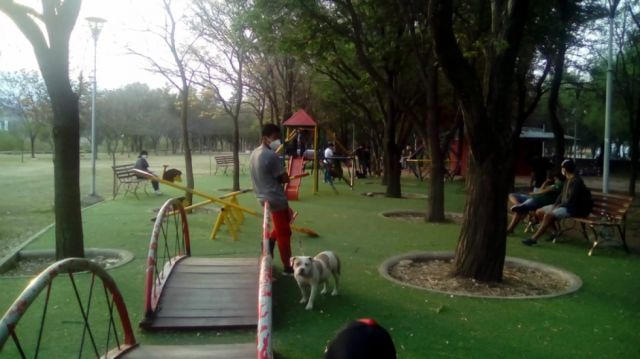 Padres reclaman que perros invaden parque Los Changuitos