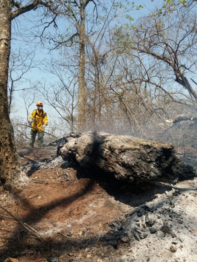 Bomberos tarijeños logran sofocar incendio en Tigüipa