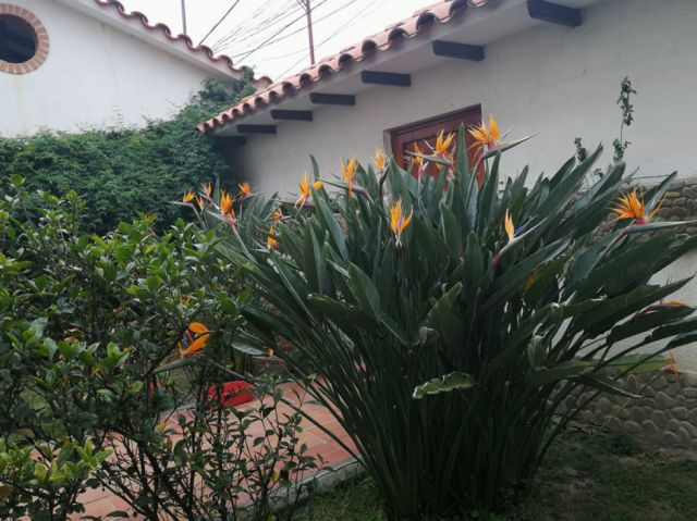  Jardin tarija