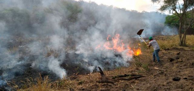 En Chuquisaca, incendios consumen 2 reservas naturales