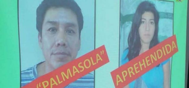 Contrató a expareja de su madre para que la matara 