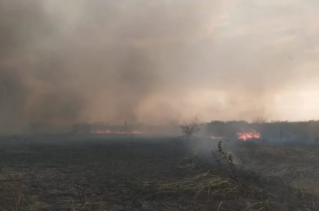 Alerta roja, Tarija registra 3 incendios de magnitud