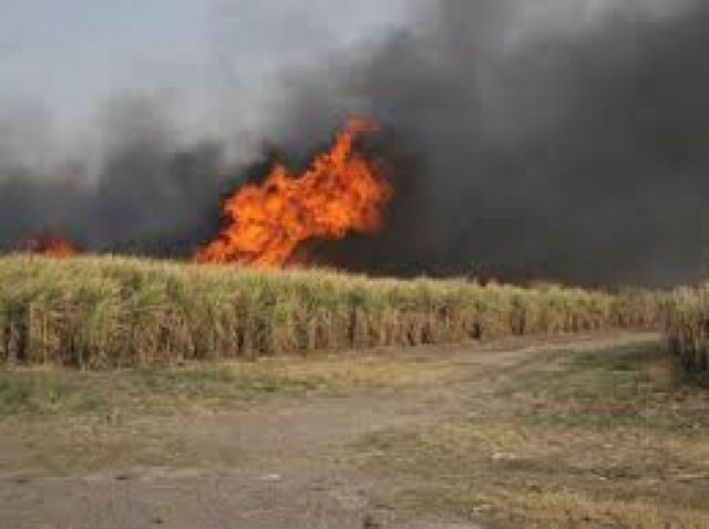Cierran carretera Bermejo-Tarija por el incendio en el sector de la Goma