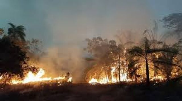 Bolivia en llamas: 83 incendios en cinco departamentos