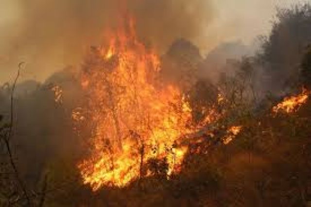 Cinco municipios en Tarija se incendian