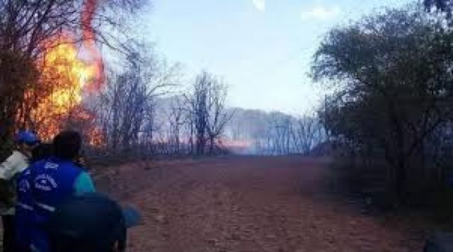 Más de 1.200 hectáreas se incendiaron en el departamento de Tarija