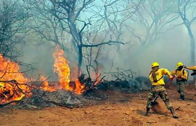 Bolivia: reportan 79 incendios activos