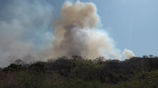 Ministerio de Defensa reporta 82 incendios forestales activos en Bolivia