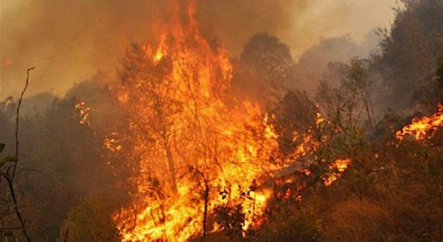EEUU dona 100 mil dólares a Bolivia para combatir incendios
