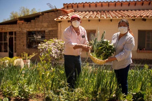 Hogares tarijeños serán beneficiados con proyecto “Huertos Familiares” de  la Alcaldía