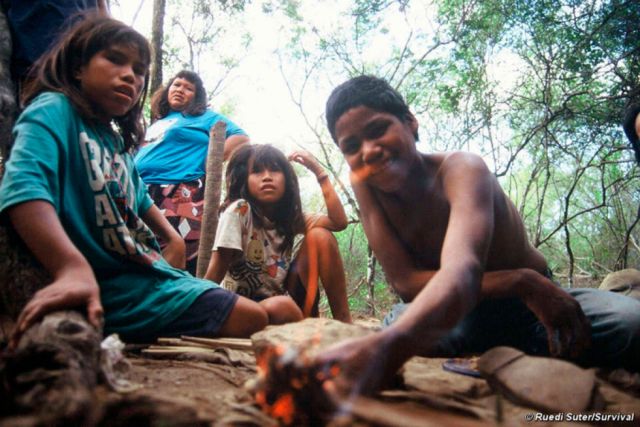La minería, la gran culpable de la deforestación amazónica