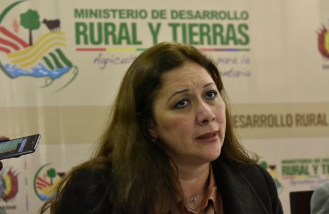 Ministra descarta desabastecimiento de alimentos