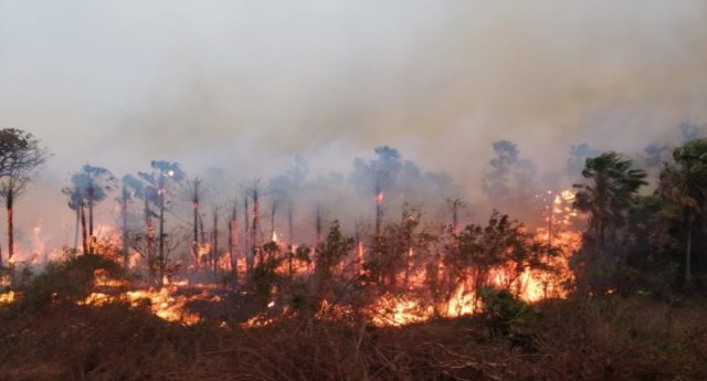 Gobierno cuantifica 1,6 millones de hectáreas afectadas por incendios en 31 municipios