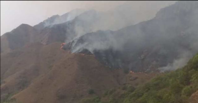 Hoy se prevé sofocar los incendios en Tarija