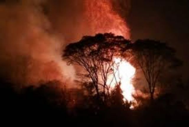 Cruzada por el Chaco chuquisaqueño recaudó Bs 19.000 para reforzar la lucha contra los incendios