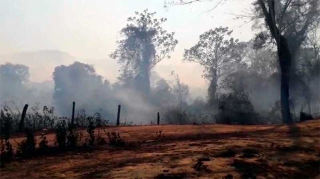 Incendios: 1,6 millones ha afectadas en 31 municipios