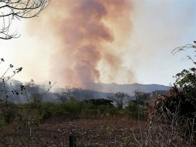 Se reaviva el fuego en el Aguaragüe-Tarija