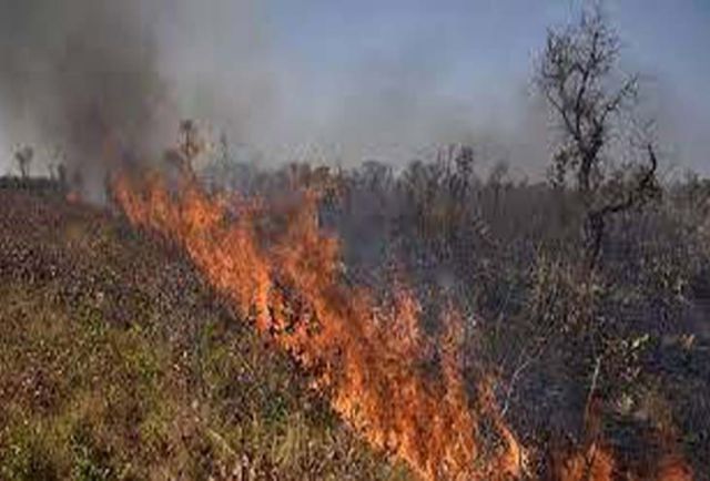 Al 18 de octubre se registraron 16.674 focos de calor en Bolivia