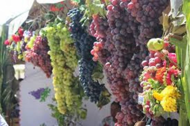 Productores de uva buscan incorporar el jugo de uva en las canastas de alimentos