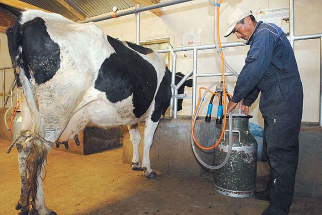 SEDEM soluciona lío con lecheros de Beni y Tarija