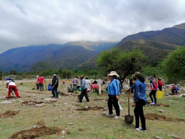 Arrancó la forestación en la Reserva Biológica Cordillera de Sama en Tarija