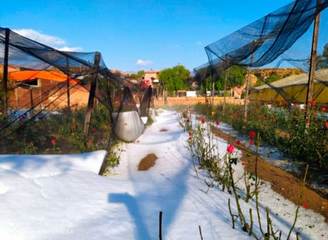Fuerte granizada y lluvia causan destrozos en cuatro municipios