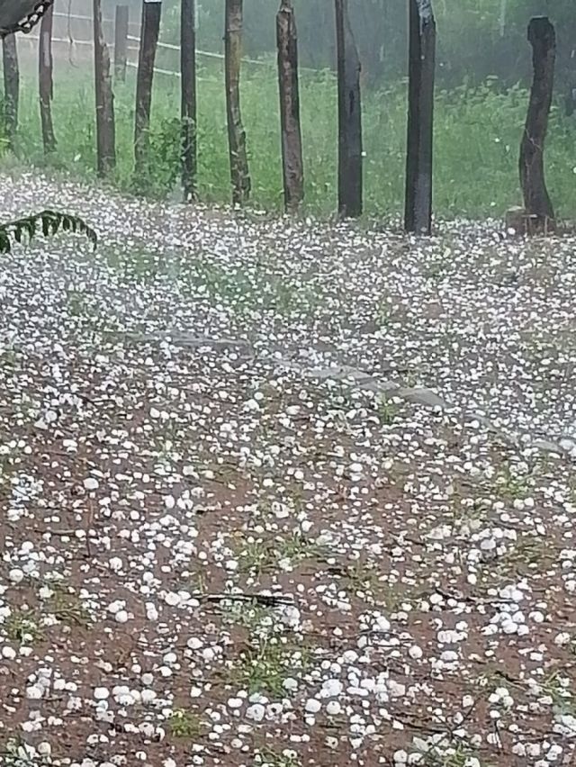 Concejo trabaja en ley para apoyar a afectados por la granizada en San Lorenzo