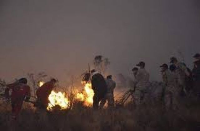 Bomberos de Tarija  intentan sofocar incendio en Falda la Queñua