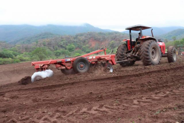Yacuiba inicia reactivación del sector productivo con campaña agrícola