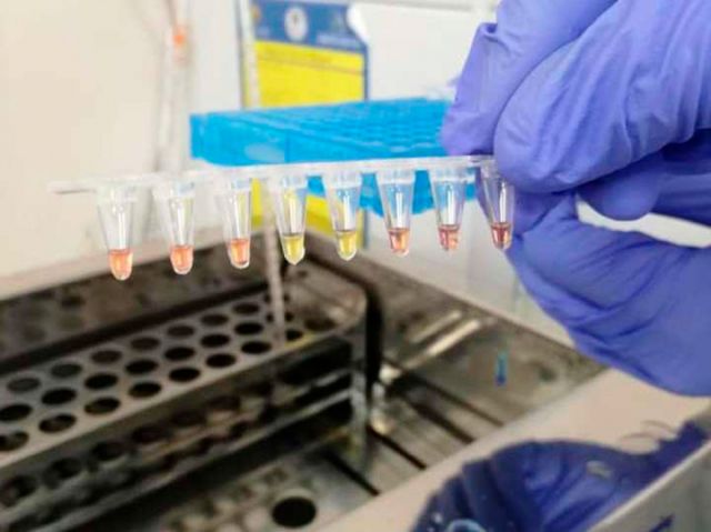 Estudio, el 10% de las casas tienen presencia del mosquito del dengue