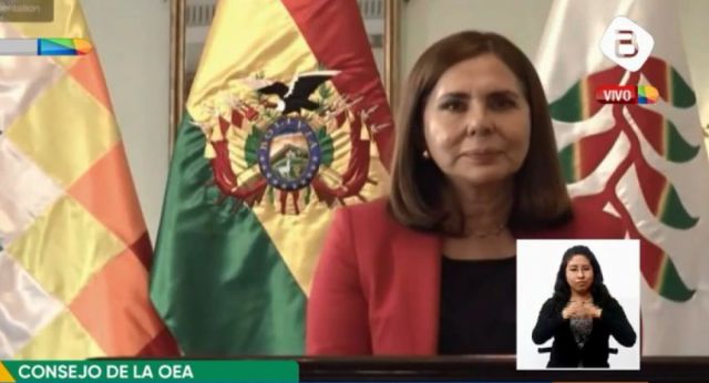 Longaric denuncia eliminación de dos tercios ante la OEA