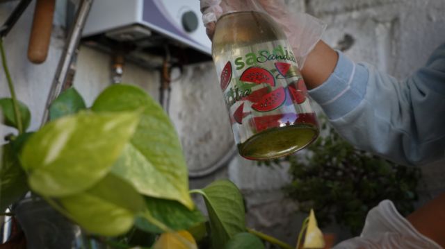 Sedes Tarija inicia campaña para eliminar criaderos de dengue