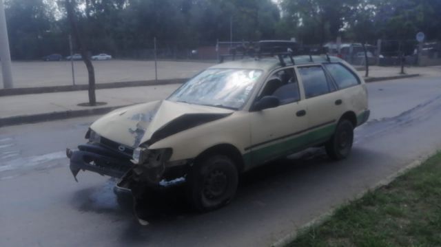 Tarija: Iba con un chancho en su auto y chocó contra un poste 