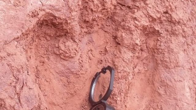 300 huellas de dinosaurios están en riesgo de deterioro en Tarija