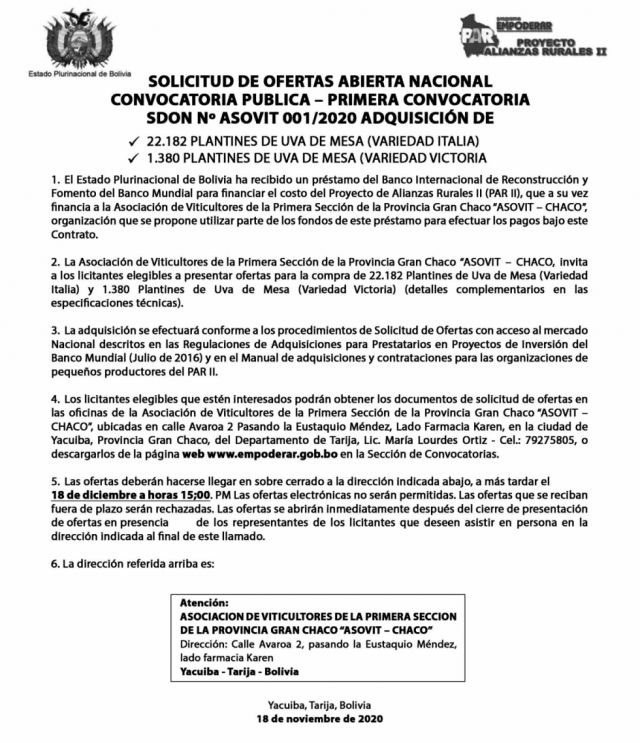 Asociación de Vitivinicultores lanzan licitación para la compra de plantines de uva de mesa