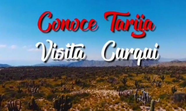 Curqui, la reserva de cactus más grande de Sudamérica, ya tiene ruta turística en Tarija