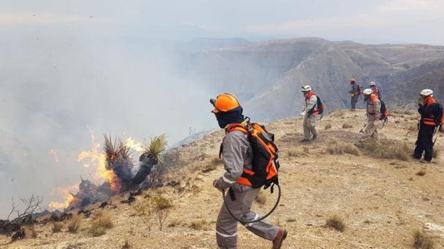 Incendio en Choroma - Tarija consumió cerca de 30 hectáreas