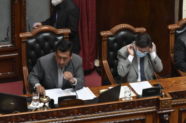 Diputados aprueba proyecto de Ley de Elecciones Subnacionales 2021