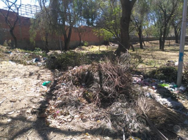 Vecinos se organizan para limpiar bosquecillo de Juan XXIII en Tarija