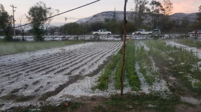 Se reporta fuerte granizada en la comunidad de Guerrahuayco