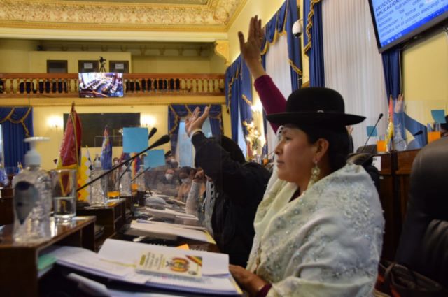 Senado sanciona ley de elecciones subnacionales con reglas para seis departamentos