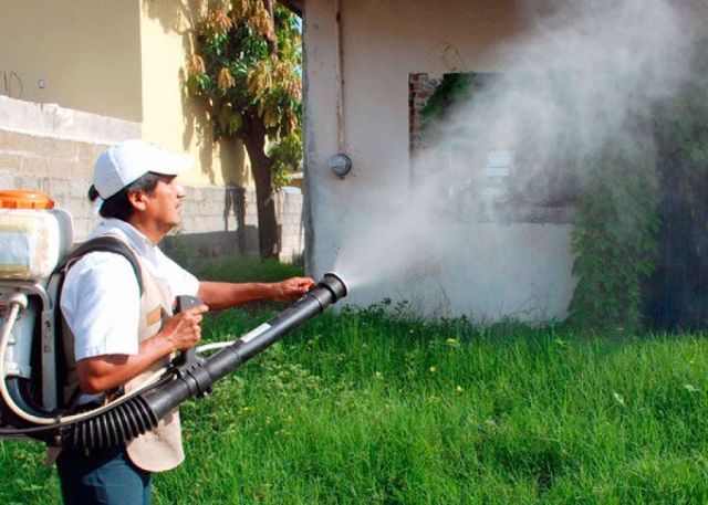 En Yacuiba inician campaña contra el Chagas y el dengue