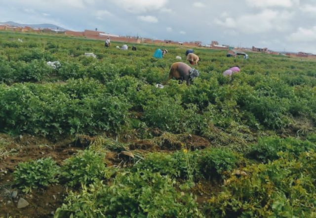 Sector campesino reclama presencia de la Policía 