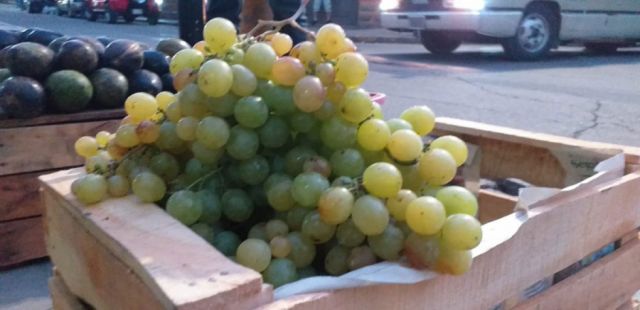 Importación de uva preocupa a viticultores de Tarija